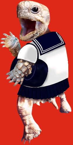 ���q����