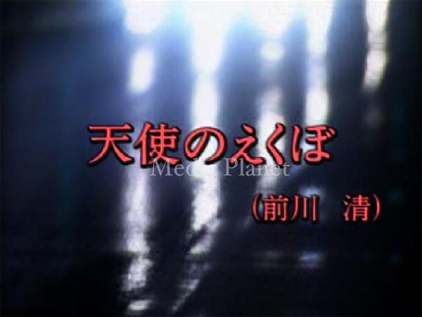 ＶＣＤ画面キャプチャー画像３